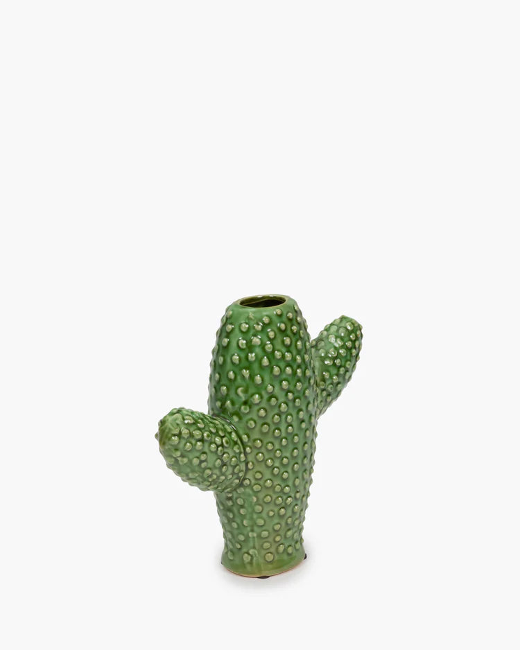Vase cactus