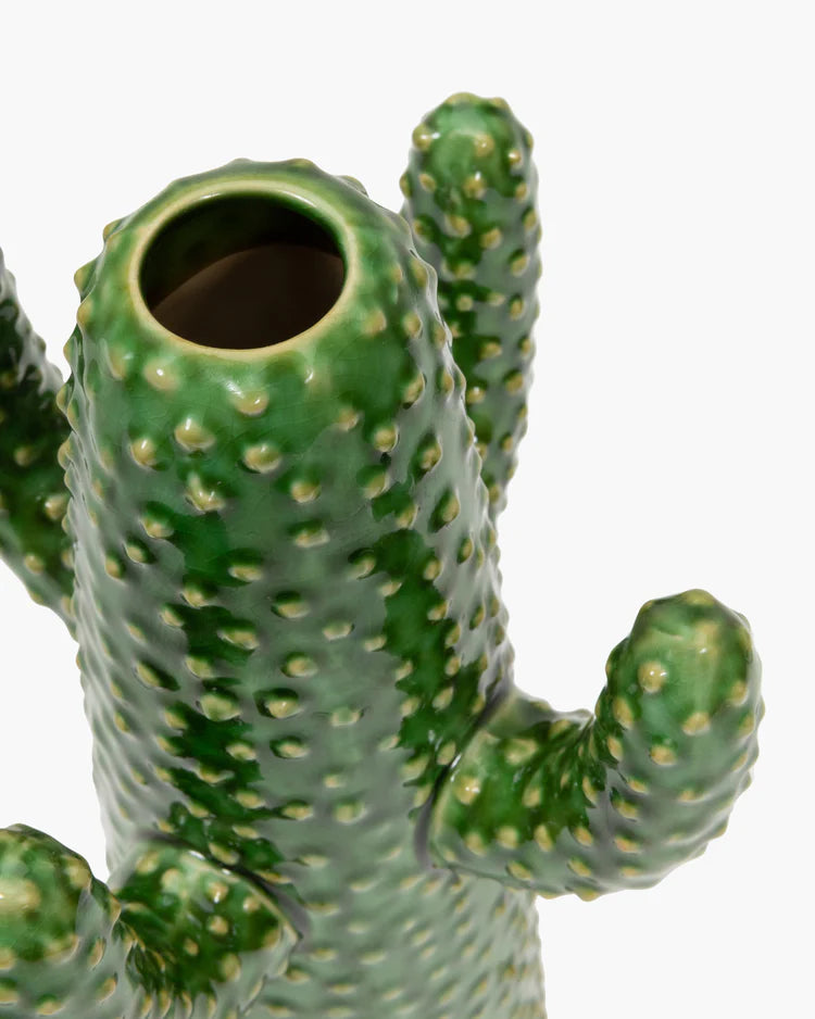Vase cactus
