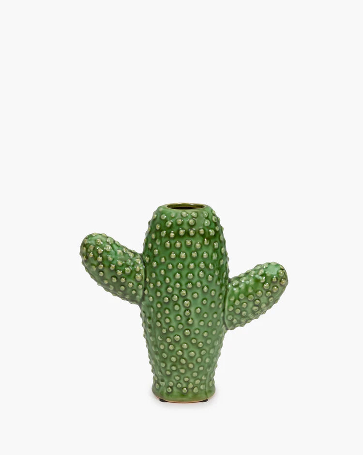 Vase cactus