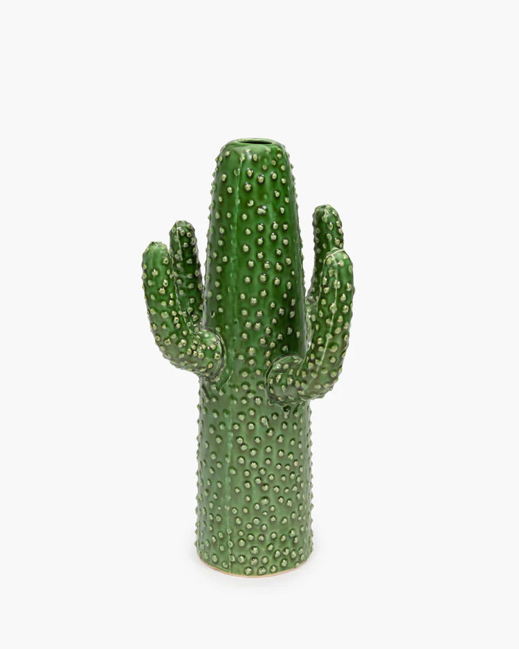 Vase cactus