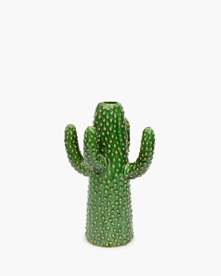 Vase cactus